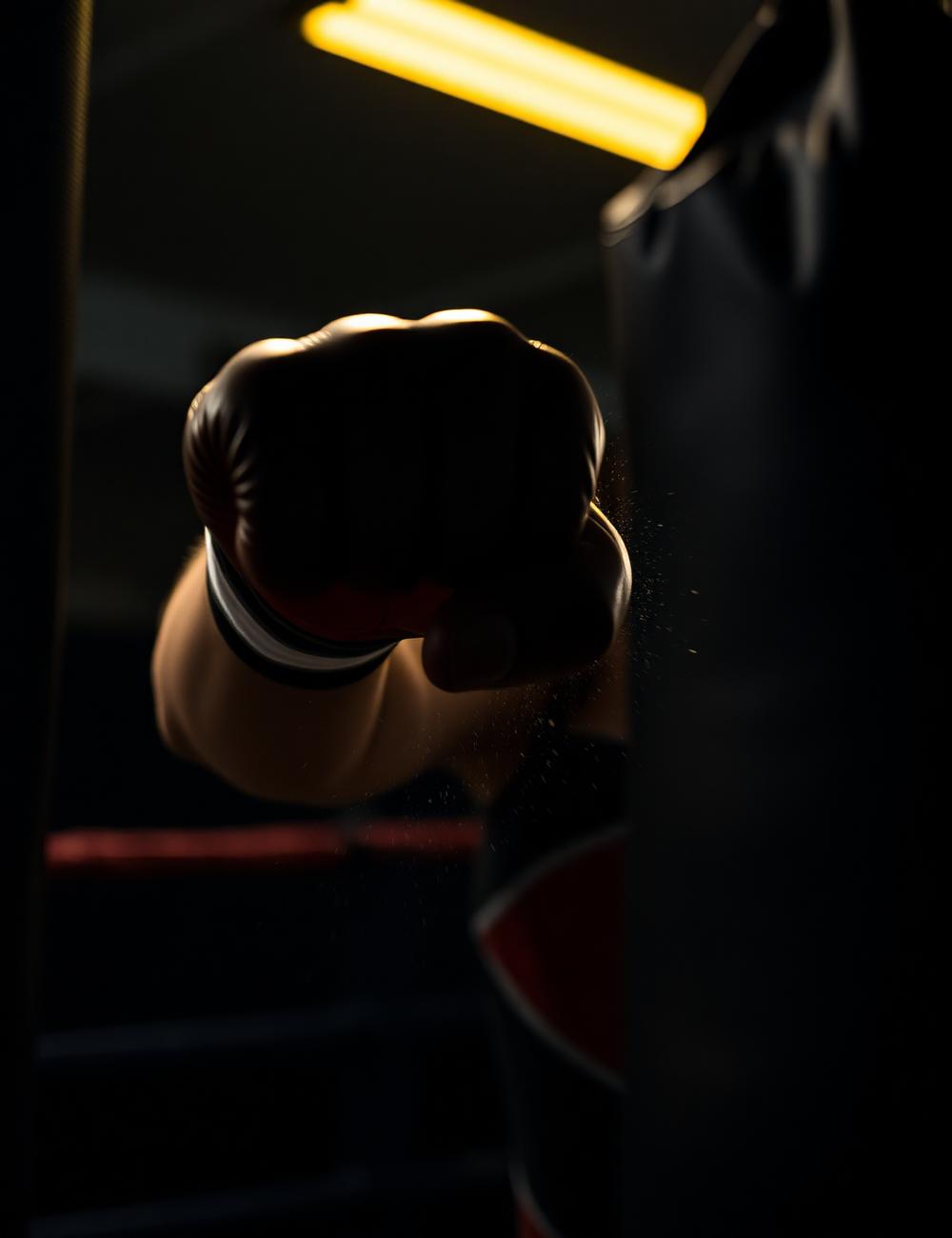 Combat Boxing